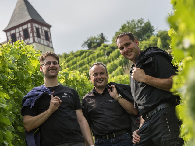 Weingärtner Cleebronn & Güglingen MORITZ Stadtmagazin