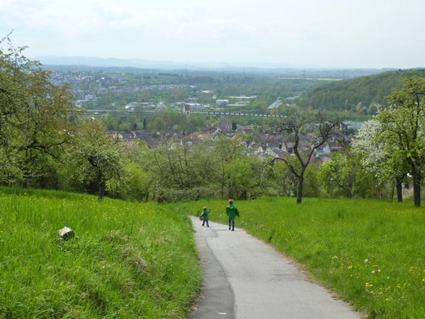 Streuobstwiesenwanderung.jpg