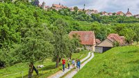 Rothenburg-o.-d.-T.-Wandern---(c)-RTS,-P.-Frischmuth.jpg