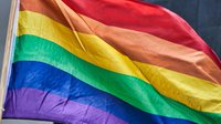 rainbow-flag-g76b175e84_1920.jpg