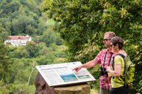 Eberbach wandert im September © Stadt Eberbach - Andreas Held.jpg