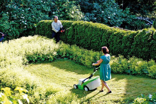 Naturlicher Sichtschutz Fur Den Garten Moritz Stadtmagazin